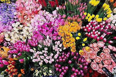 牌组构建式类肉鸽游戏《老虎机与地下城》现已推出试玩Demo